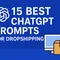 15 Best ChatGPT Prompts for Dropshipping