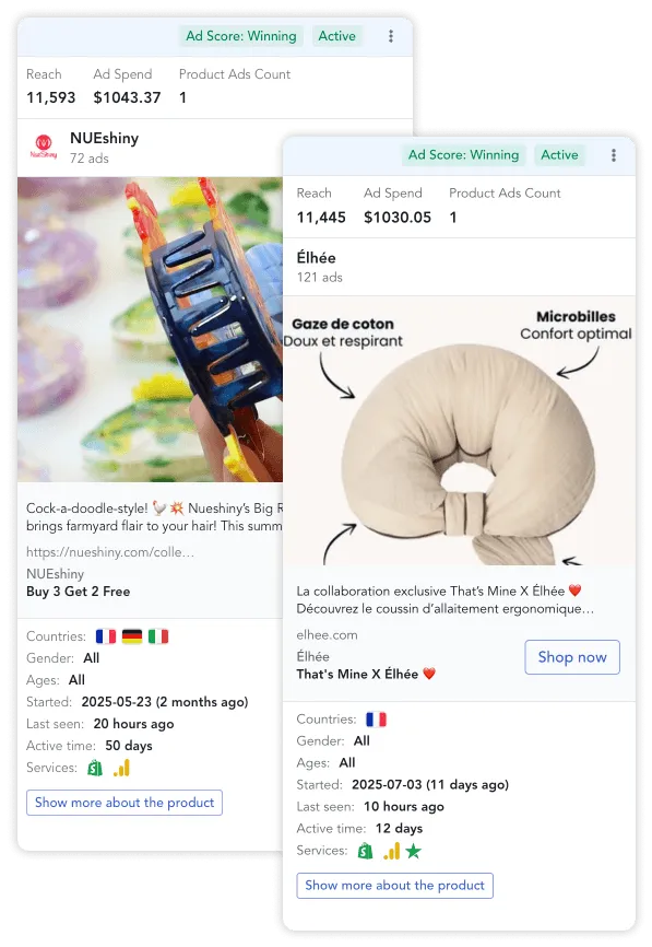 Step 1 - Spy on Facebook Ads for Product Ideas